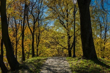 Fototapeta premium Przemyśl,park. jesień
