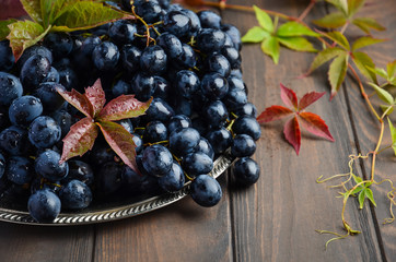 Fresh Black Grapes on Silver Plate Selective focus