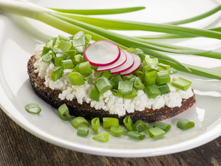 Healthy sandwich with rye bread, cottage cheese, radish and green onions