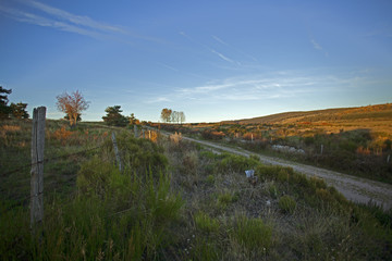 Chemin en campagne bordé de champs clôturés au soleil couchant en automne dans les Cévennes.	