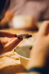 Plätzchen ausstechen in der Weihnachtsbäckerei
