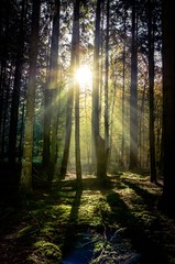 Obraz premium Lever du soleil dans la 