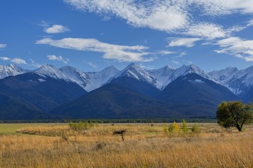 Early autumn snow in Carpathian Mountains: huge cliffs are covered with snow, in the foreground are slopes with forest. View of Fagaras Mountains near Moldoveanu, the highest mountain peak in Romania.