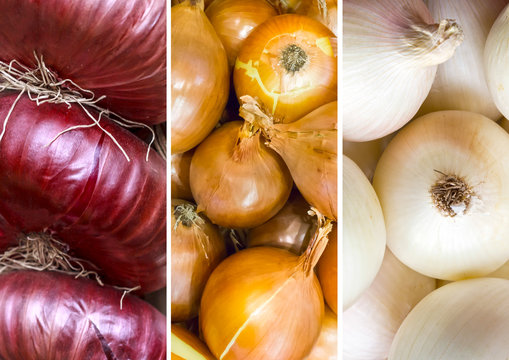 collage of different varieties of onion:red, white, gold, green