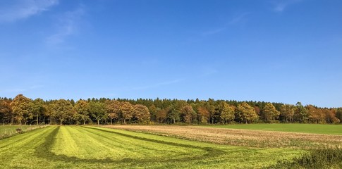 Wunderschönes Landschaftspanorama mit frisch gemähtem Feld am Waldrand