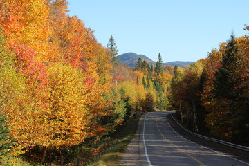 Naklejka premium Autumn landscape
