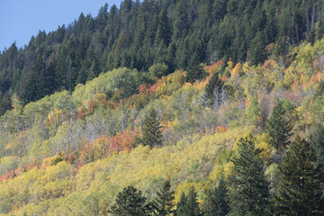 couleurs d'automne canada