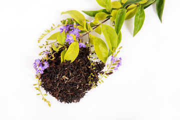 Tea leaves on a white background