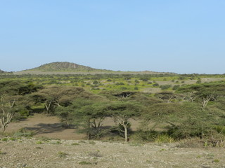 Fototapeta na wymiar Tanzanie