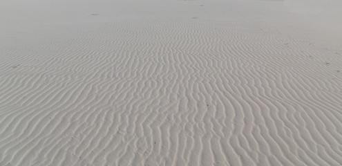 Obraz premium Background texture of sand.