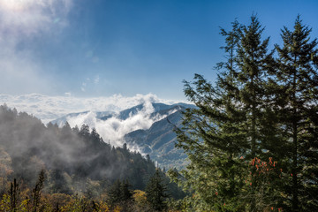 Dramatic Fog In The Smoky Mountains