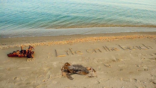 	Crab and an inscription on sand, the beach.