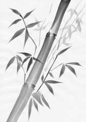 Bamboo watercolor painting with one stalk and several leaves. Black ink on paper study.