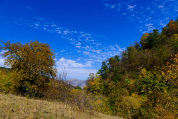 Mountain forest in autumn colors