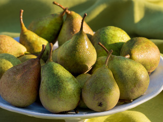 Ecologically grown green pears on white plate