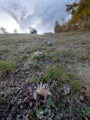 Samotny domek w górach na zboczu z dziewięćsiłem bezłodygowym © JDziedzic