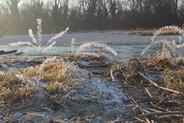ein Wintertag in der Leitha
