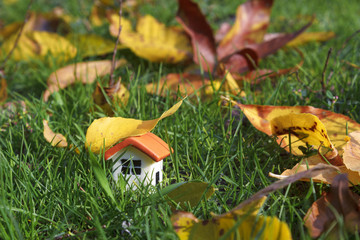puppet house on green grass under autumn yellow leaf