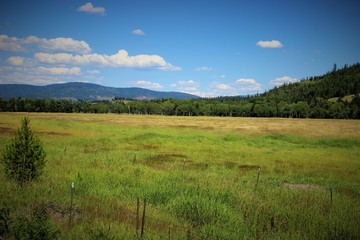Grass field and hills/nature/landscape