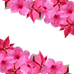 Christmas card. Hibiscus and poinsettia 