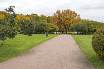 Autumn Park. Alley