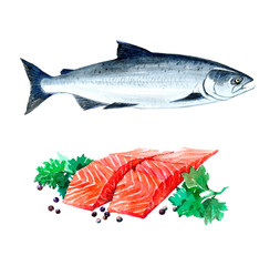  Sliced salmon pieces with seasonings. Watercolor illustration isolated on white background.