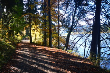 Wanderweg am Niedersonthofener See im Allgäu