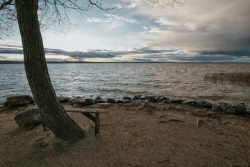 wooden bench on the bank of the lake on a rainy autumn decline