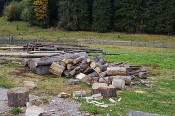  country photo with chopped logs on green grass, forest background  