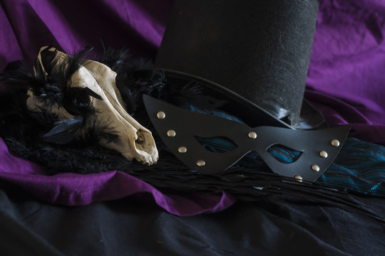 Animal skull, ostrich feathers, leather mask , cylinder hat and drapery green and purple. 