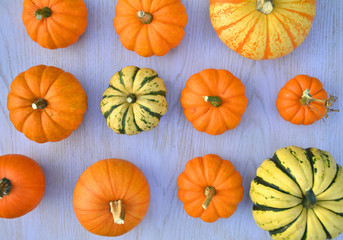 Various pumpkins and squashes on wooden background