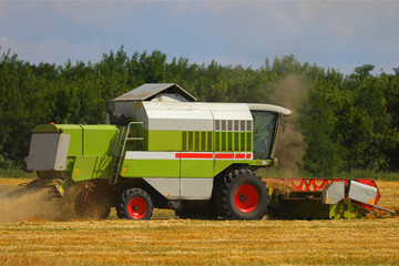 Obraz premium combine harvester on a wheat field. Combine working on a wheat field. Combine harvester in action on wheat field.