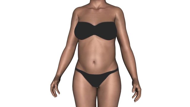 Timelapse slimming animation with 3D model on white background 