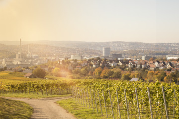 Stuttgart aus den Weinbergen
