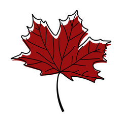 Maple leaf icon