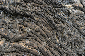 Pahoehoe or rope lava, on Rabida Island, Galapagos. It is formed of igneous rock, which create bizarre patterns as it cools known as lava sculpture.