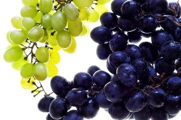 Grapes isolated. Green and Dark Blue grapes isolated on the white background. Wet fruit