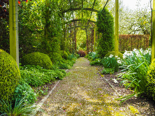 The entrance pergola to the garden during spring, flanked by white daffodils and crocuses, Belgium - Powered by Adobe