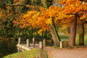 Autumn in the Catherine Park in Pushkin