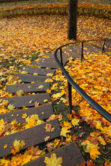 Stairway in the Park in fallen Golden leaves