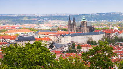 Fototapeta na wymiar Ppanoramic view of Prague, St. Vitus Cathedral