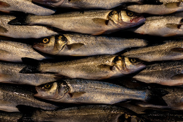 market fish