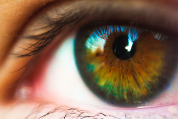 Macro human eye 