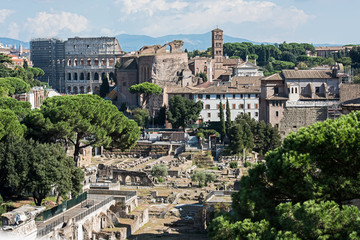 Naklejka premium Roman Forum 