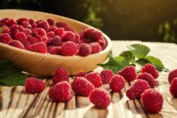 raspberries in a plate,in wooden bowl,basket/bush branch/growing raspberries,raspberries background closeup photo,high resolution product,Delicious first class organic fruit,Raspberry as background