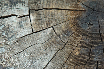 Front view of old wood background or texture