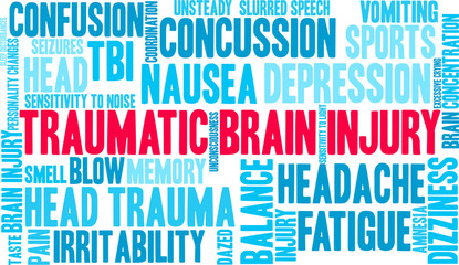 Traumatic Brain Injury Word Cloud on a white background. 