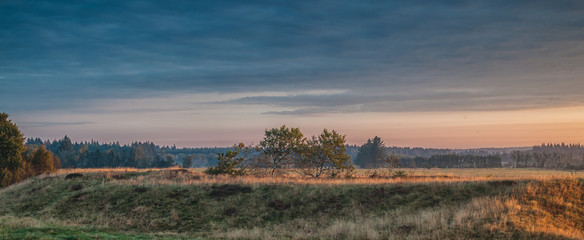 Morning light