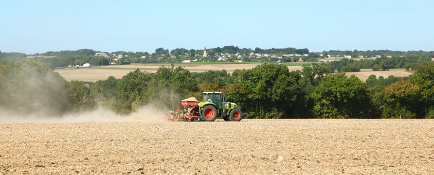 Semis dans un champ par un tracteur