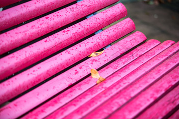 a leaf on a pink bench in autumn rain